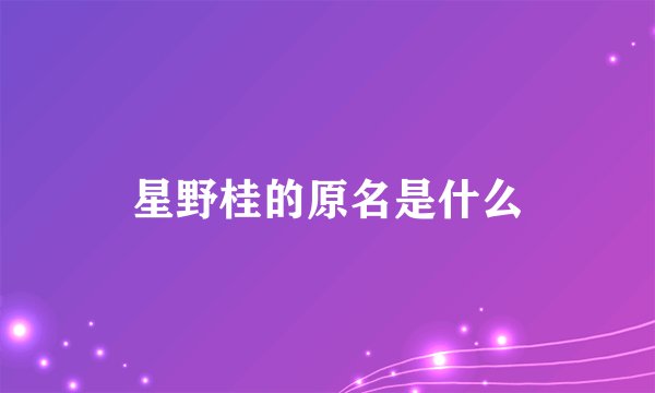 星野桂的原名是什么