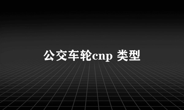 公交车轮cnp 类型