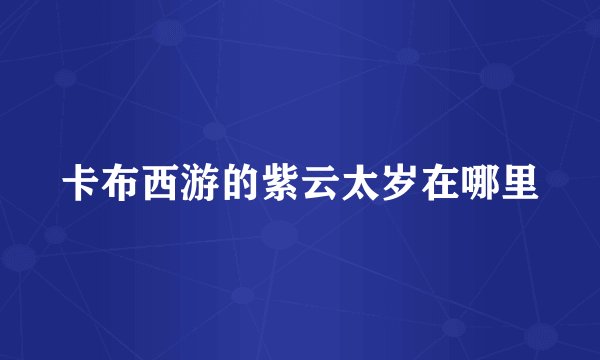 卡布西游的紫云太岁在哪里