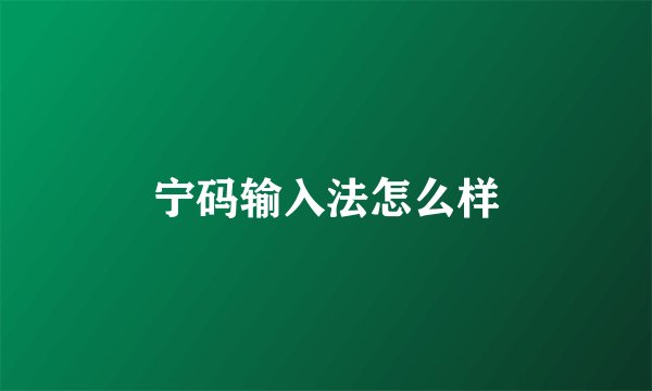 宁码输入法怎么样