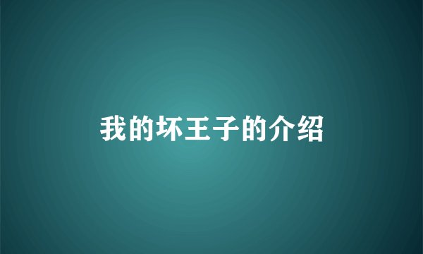 我的坏王子的介绍