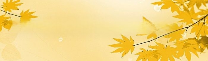 大乐斗论坛为啥进不去(大乐斗论坛)