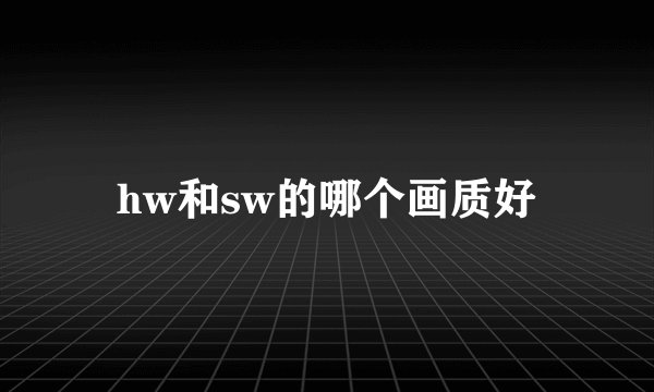 hw和sw的哪个画质好