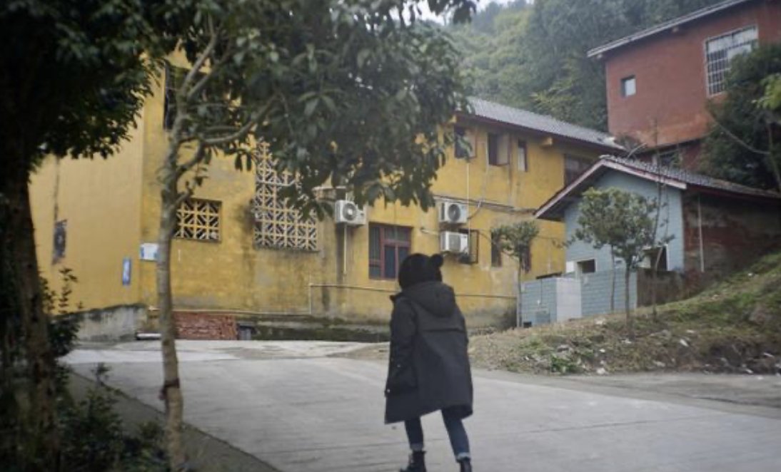 重庆姐弟坠楼案亲生父亲及女友当庭痛哭,主从犯会如何认定?