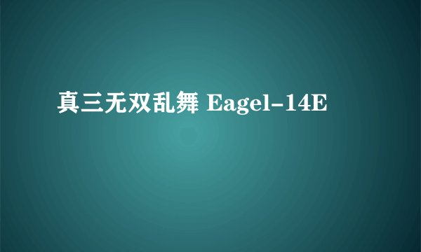 真三无双乱舞 Eagel-14E