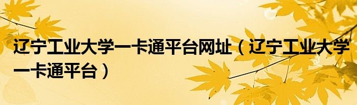 辽宁工业大学一卡通平台网址辽宁工业大学一卡通平台