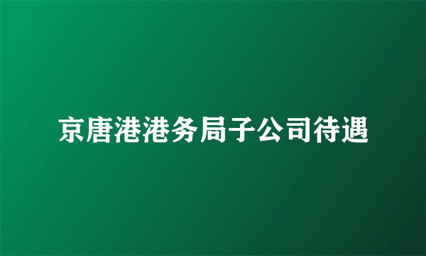 京唐港港务局子公司待遇