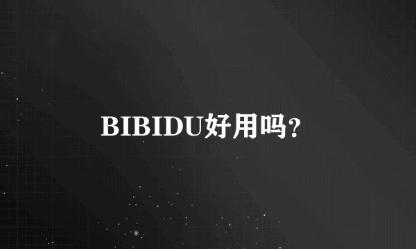 BIBIDU好用吗？