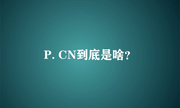 P. CN到底是啥？