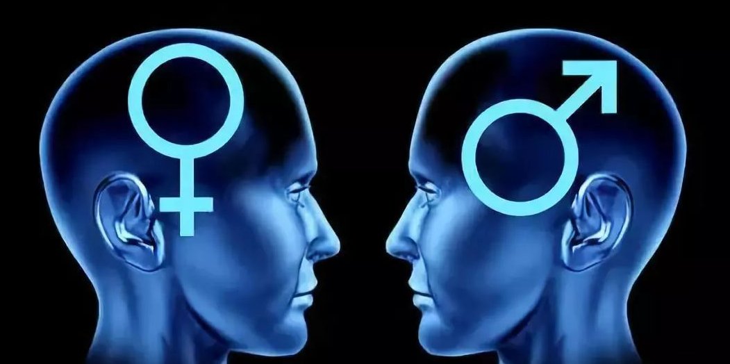 ts是什么意思？