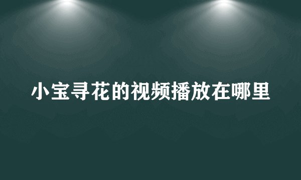 小宝寻花的视频播放在哪里