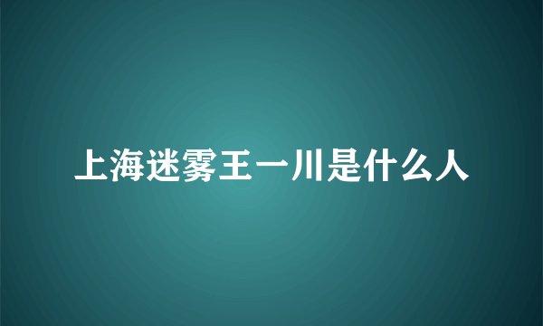 上海迷雾王一川是什么人