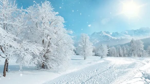 2023一九到九九天时间表