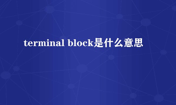 terminal block是什么意思