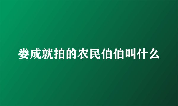 娄成就拍的农民伯伯叫什么