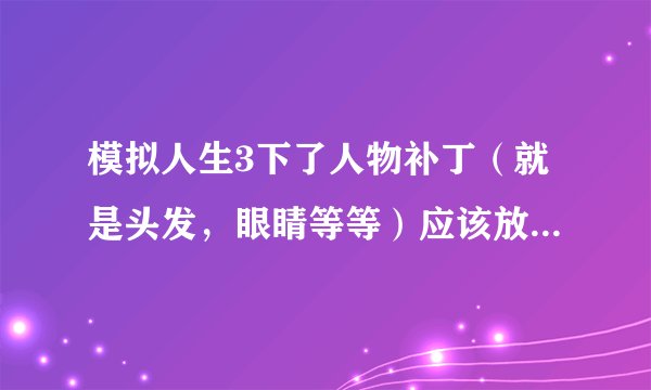 模拟人生3下了人物补丁（就是头发，眼睛等等）应该放在那里才能用
