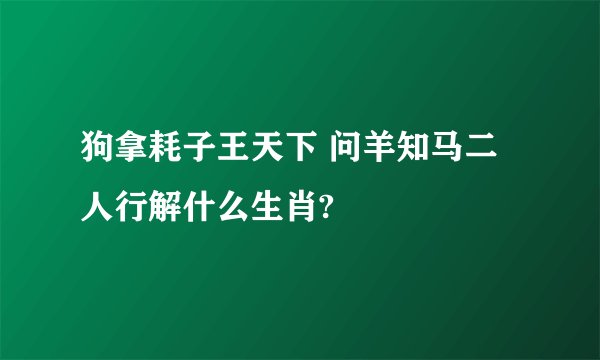 狗拿耗子王天下 问羊知马二人行解什么生肖?