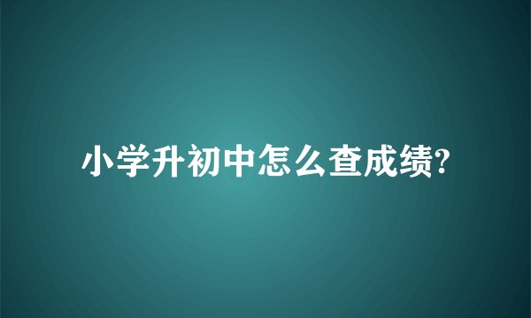 小学升初中怎么查成绩?