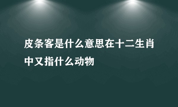 皮条客是什么意思在十二生肖中又指什么动物