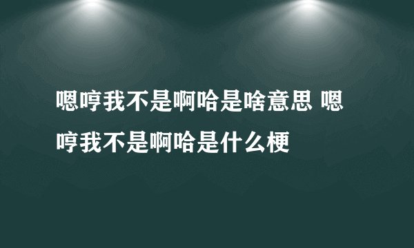 嗯哼我不是啊哈是啥意思 嗯哼我不是啊哈是什么梗