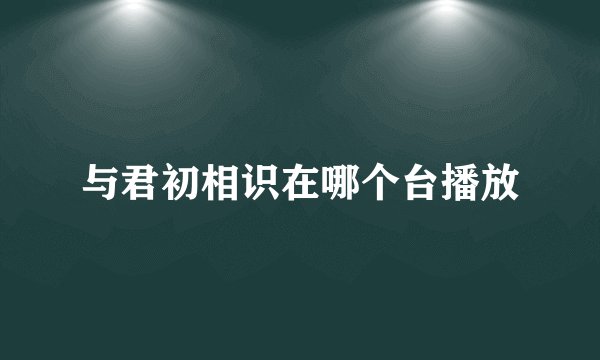 与君初相识在哪个台播放