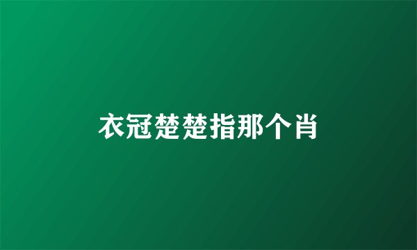 衣冠楚楚指那个肖