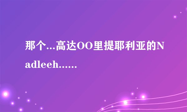 那个...高达OO里提耶利亚的Nadleeh...翻译过来是什么意思...?