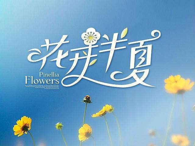 花开半夏的结局是什么，陆元与谁在一起了