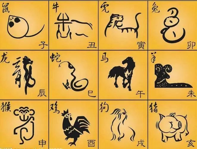 怜鸡惊晓代表什么生肖