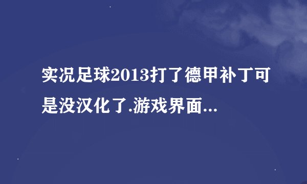 实况足球2013打了德甲补丁可是没汉化了.游戏界面是汉化,名字没有汉化.而且球队对标全乱了