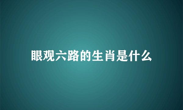眼观六路的生肖是什么
