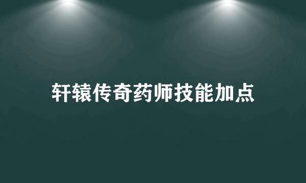 轩辕传奇药师技能加点