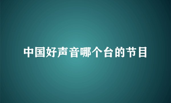 中国好声音哪个台的节目