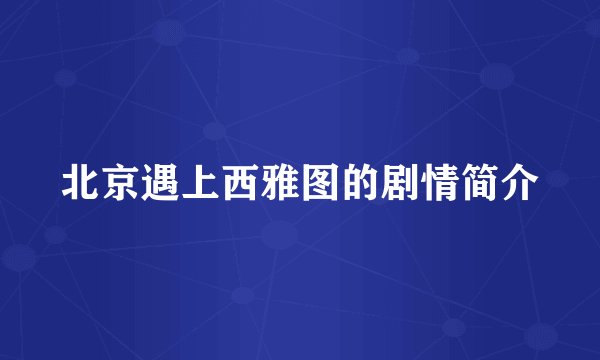 北京遇上西雅图的剧情简介