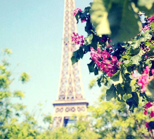 求几张lainka的唯美意境图片