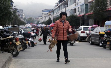 大婶的拼音怎么写