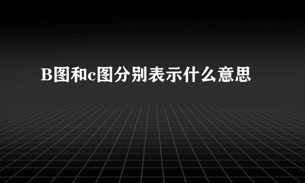 B图和c图分别表示什么意思