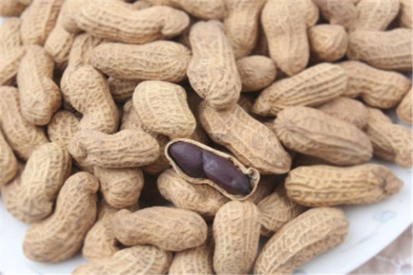 山西村民给书记硬塞一把花生，你怎么看？