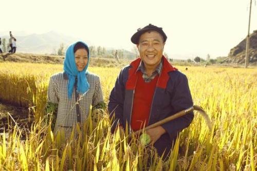 电视剧《乡村爱情》2剧情介绍是什么？