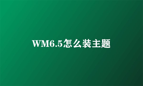 WM6.5怎么装主题