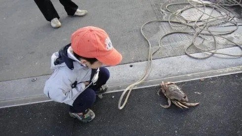 钓蟹粤语是什么意思？