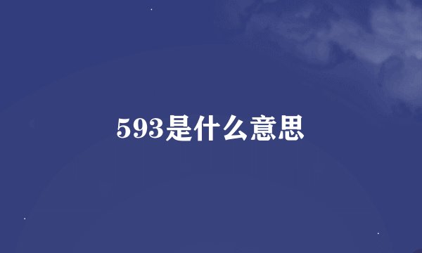 593是什么意思