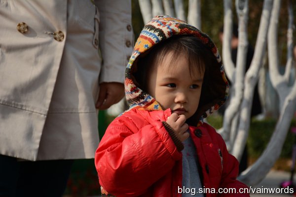 爱与恶的计谋的介绍