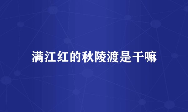 满江红的秋陵渡是干嘛