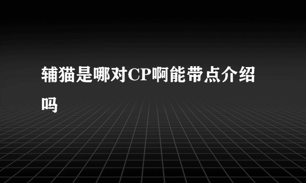 辅猫是哪对CP啊能带点介绍吗