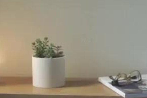 绳在细处断的下一句是什么?