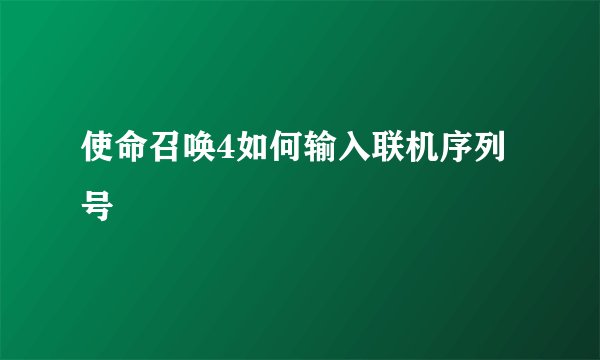使命召唤4如何输入联机序列号