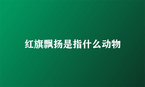 红旗飘扬是指什么动物