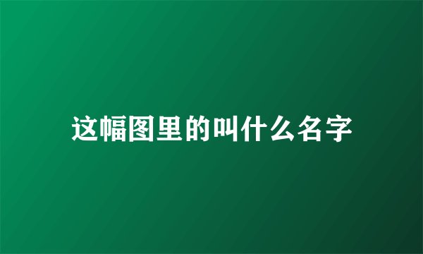 这幅图里的叫什么名字