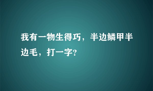 我有一物生得巧，半边鳞甲半边毛，打一字？